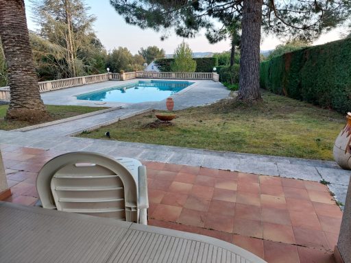 Vue d'une piscine entourée de verdure, avec une terrasse en pavés et des arbres.